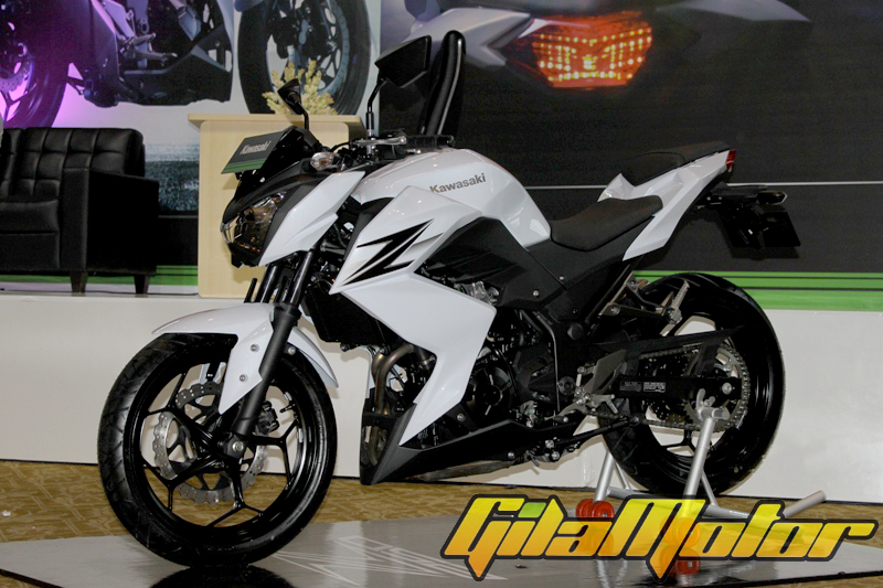 Kawasaki Z250  2013 2 Gilamotor