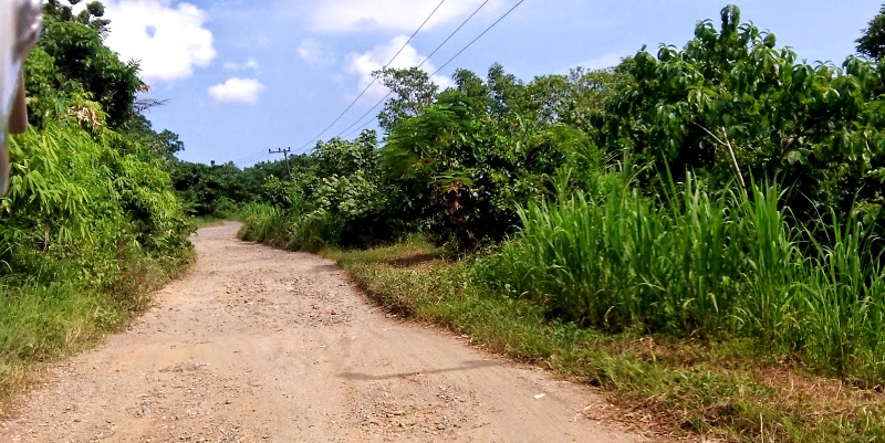 Touring ke Taman Nasional Merubetiri 6