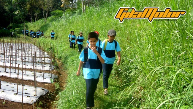 Wisata alam pedesaan