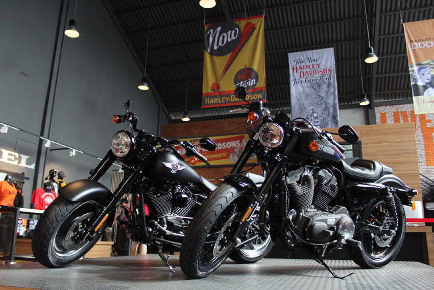 Anak Elang Harley-Davidson 03