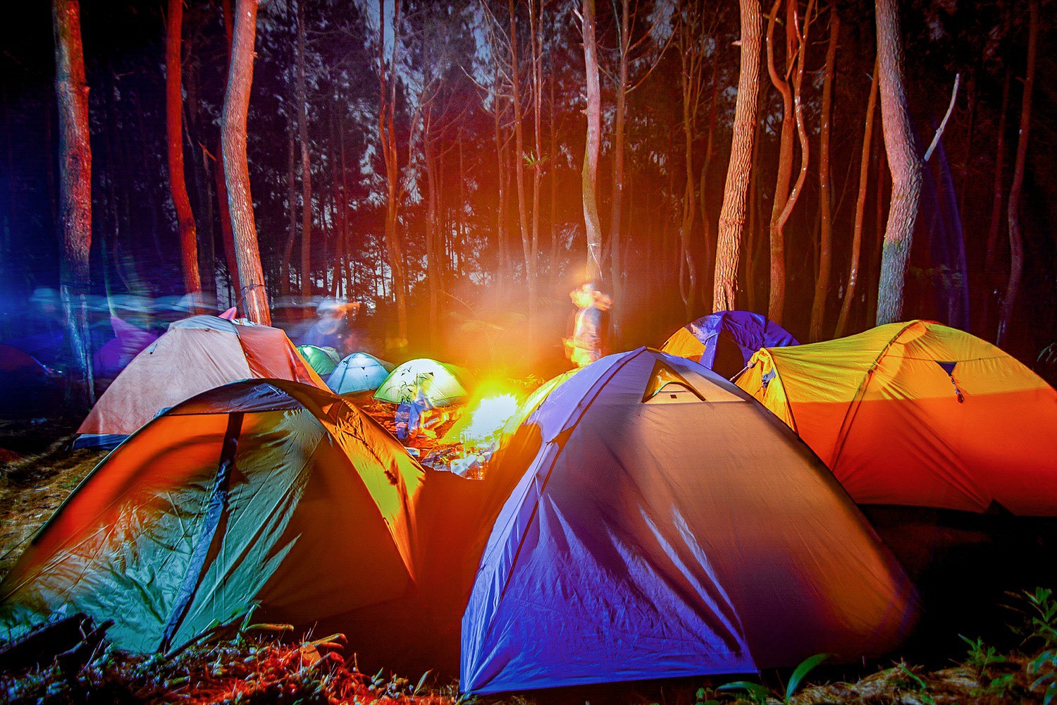 16798004_1670707672946703_8434011628930779437_o