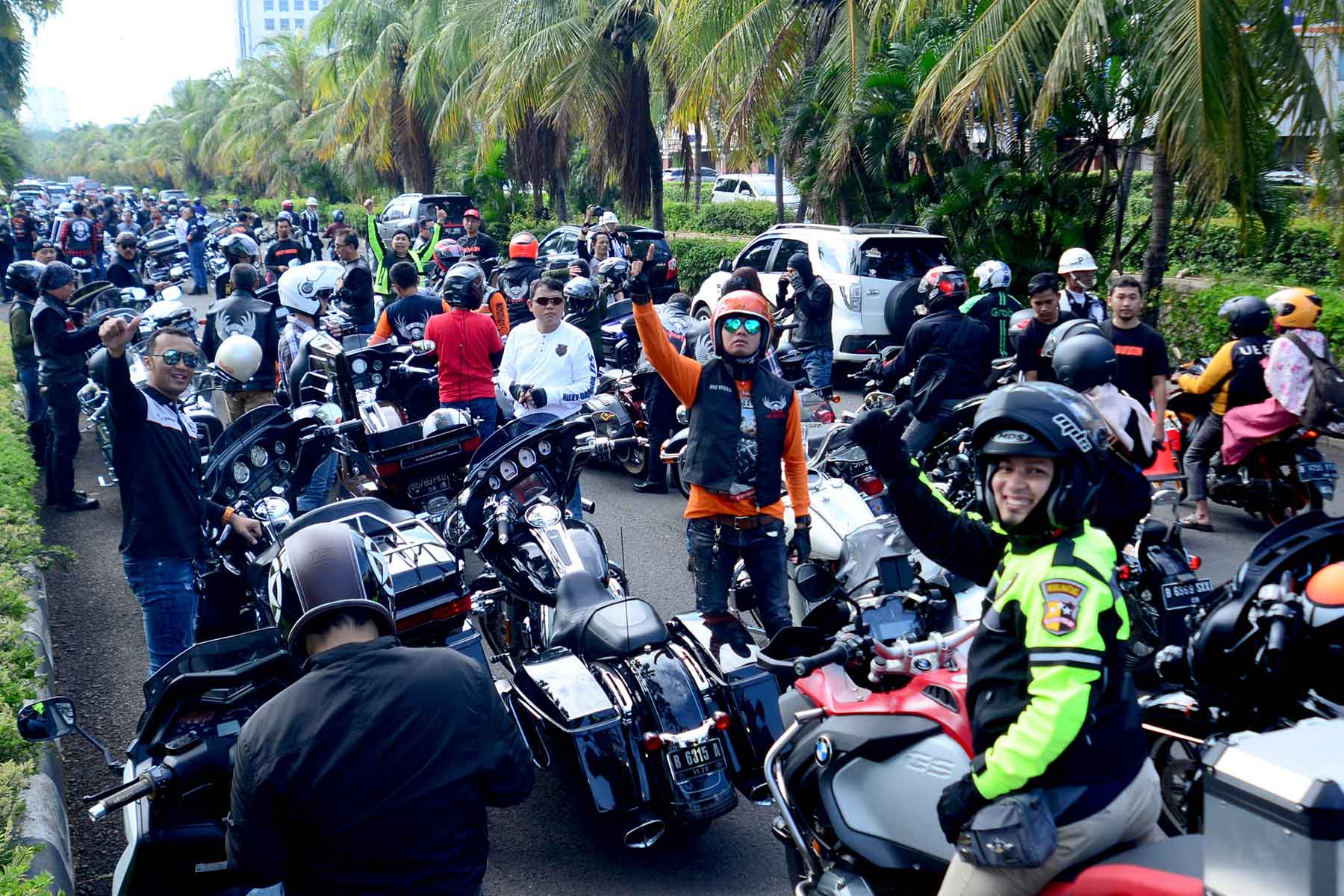 anak elang harley davidson 